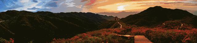 走起一起去看日出,开往春天的列车来了一起去打卡吧