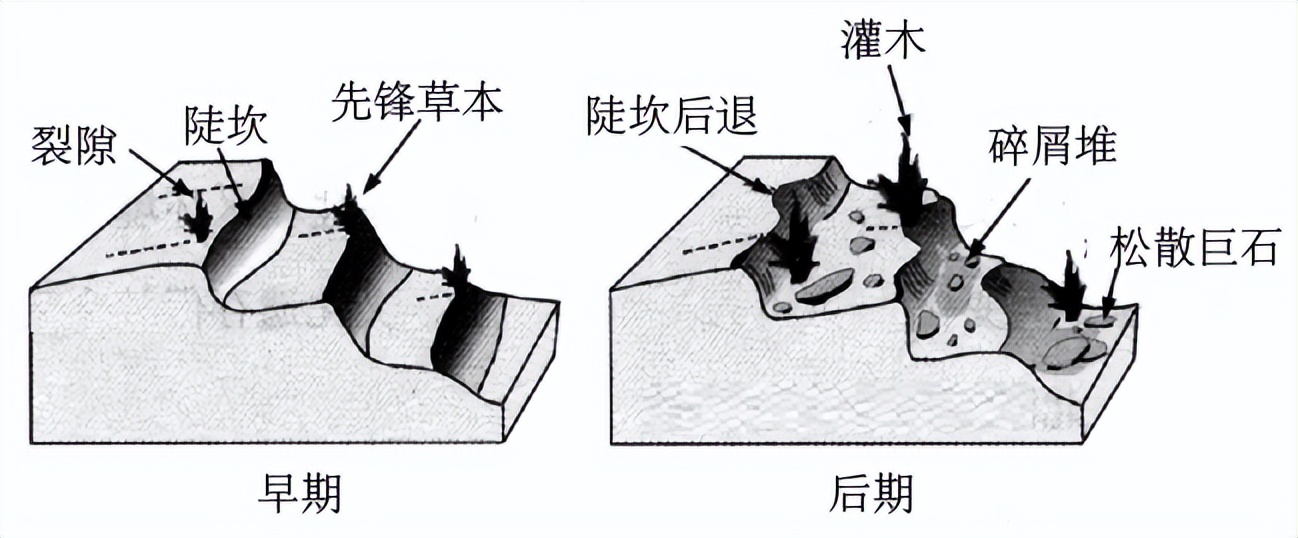 备战2023年高考地理一轮复习考点-19土壤