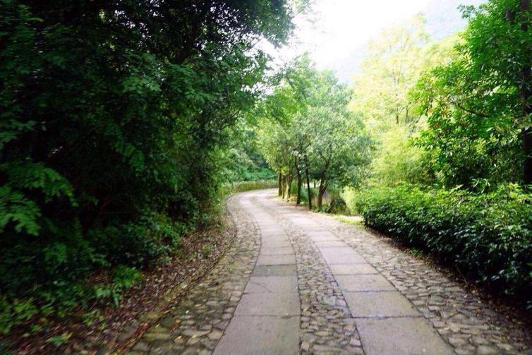 上海避暑,上海景点避暑攻略自驾游