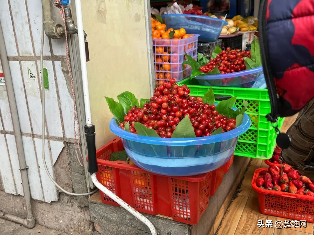 楚雄樱桃批发,楚雄樱桃多少钱一斤