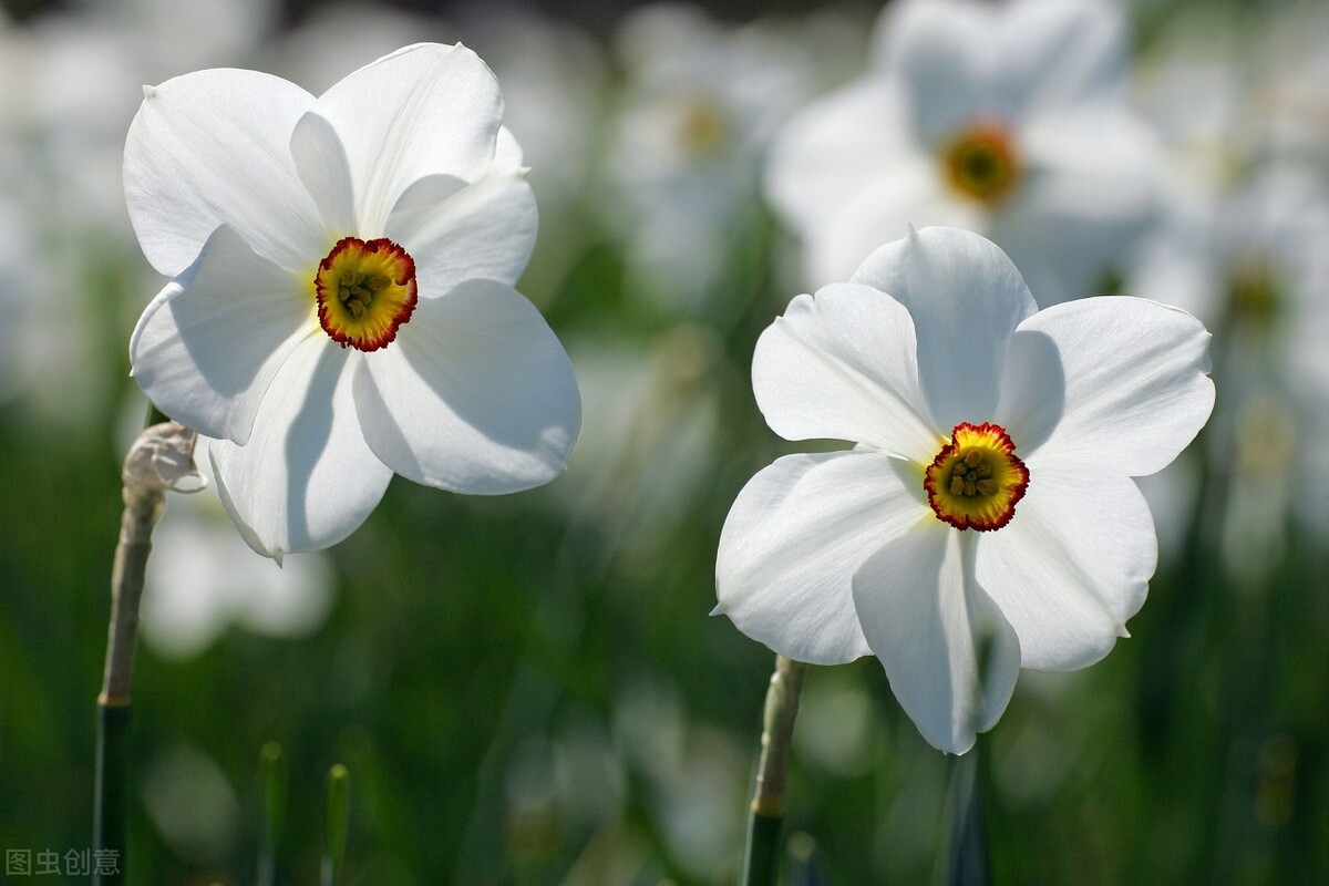 清都的原创诗词，4年作品合集，用文字记录生活