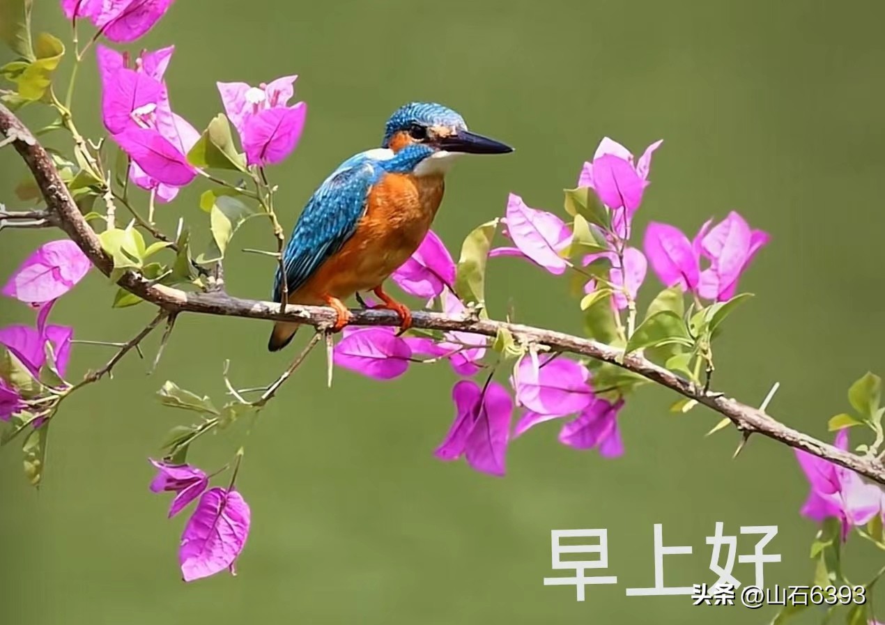 【战友美文】丁献礼“小诗余味”39：《晒黄瓜干》