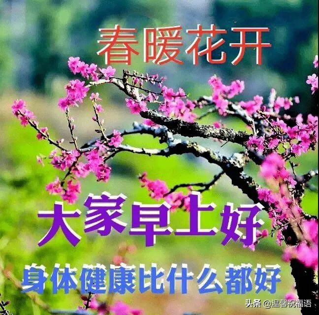 春天早上好暖心图片带字带问候语,最新早上好祝福图片带字风景