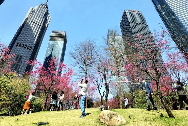 城市会客厅广州,广州城市会客厅