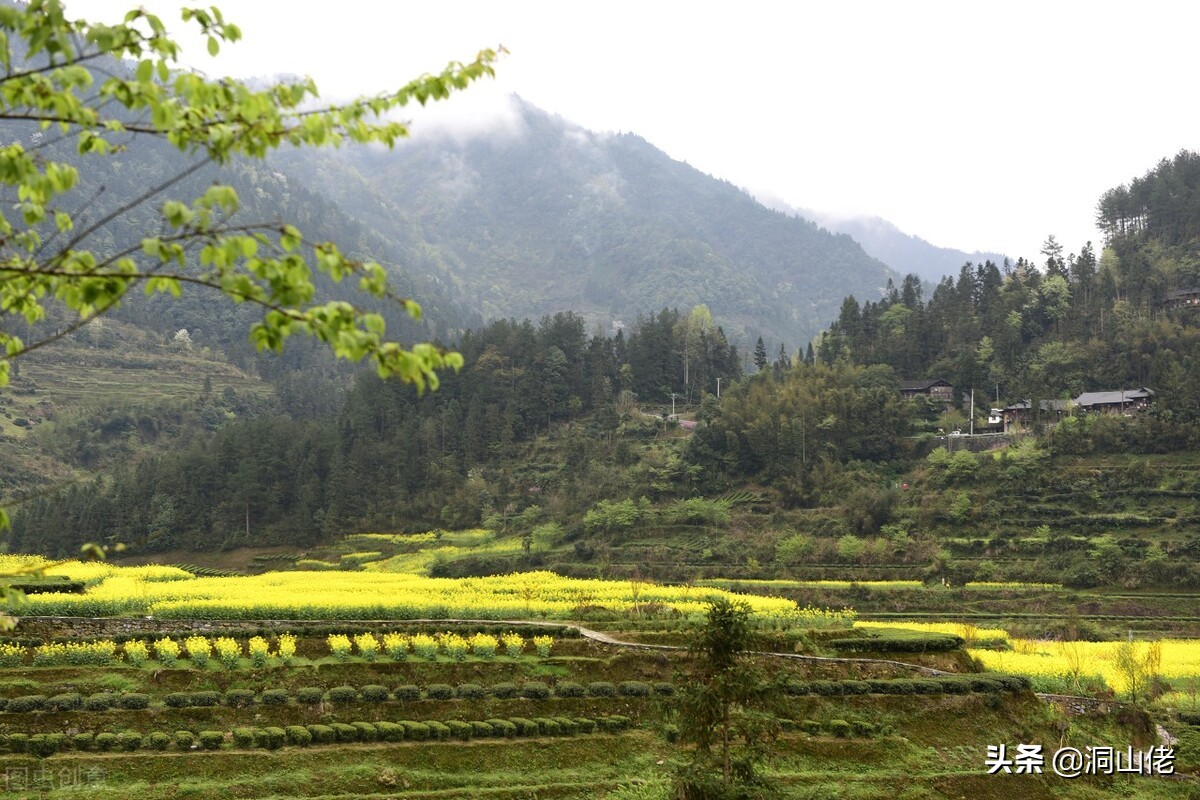 农村有句老话叫人穷别走亲,农村俗语人穷少说话位低别劝人