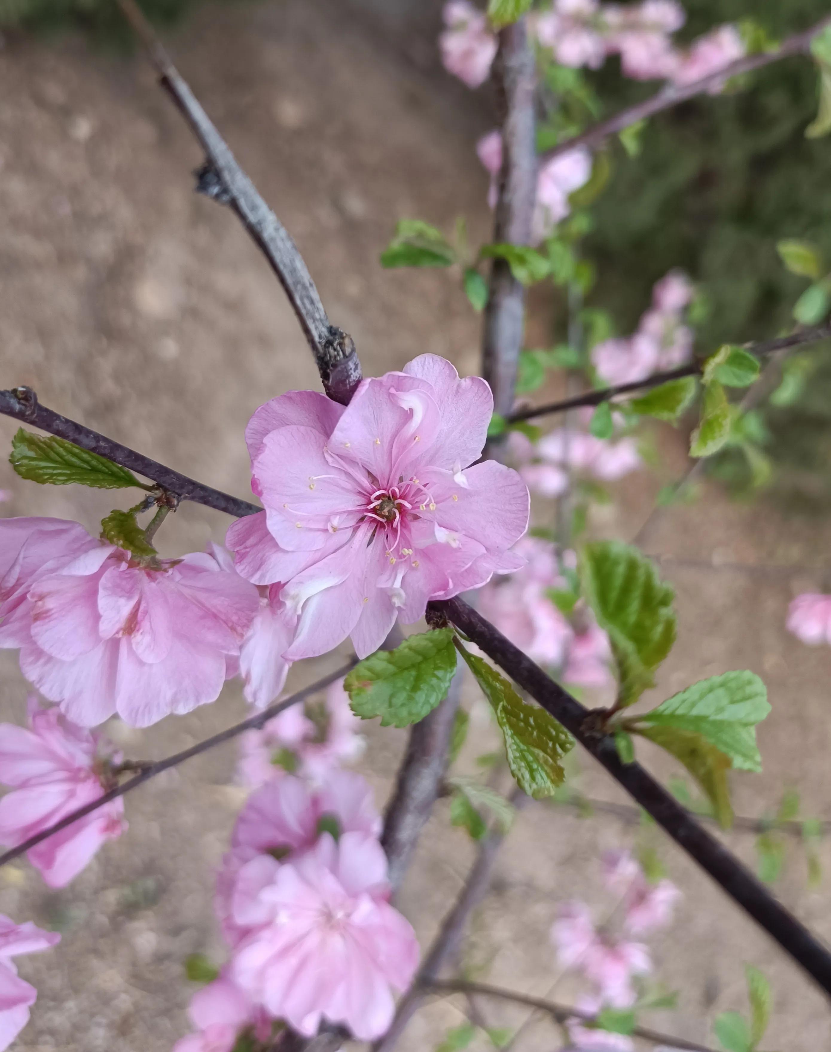 机械本科毕业就业,机械毕业怎么月薪2万