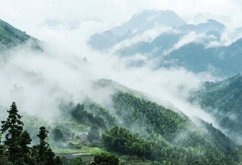 “风景独好”旅游名县｜资溪县：面包之乡·纯净资溪
