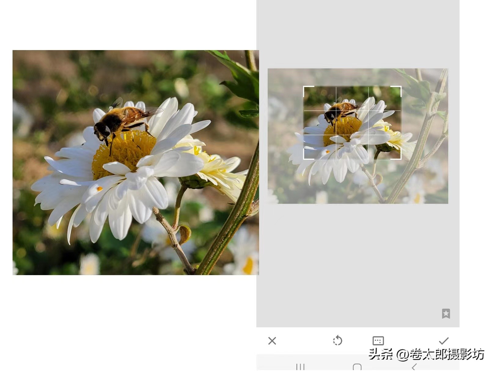 手机拍照后期怎么修图好看,无后期不摄影教你手机修图速成