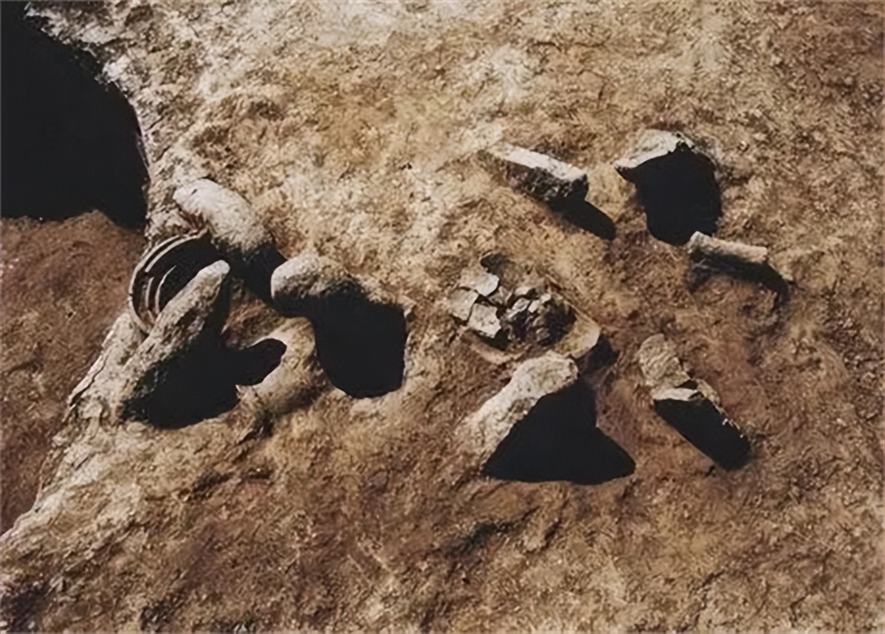 考古挖出古墓的尸体,西安考古发掘古墓现场图片