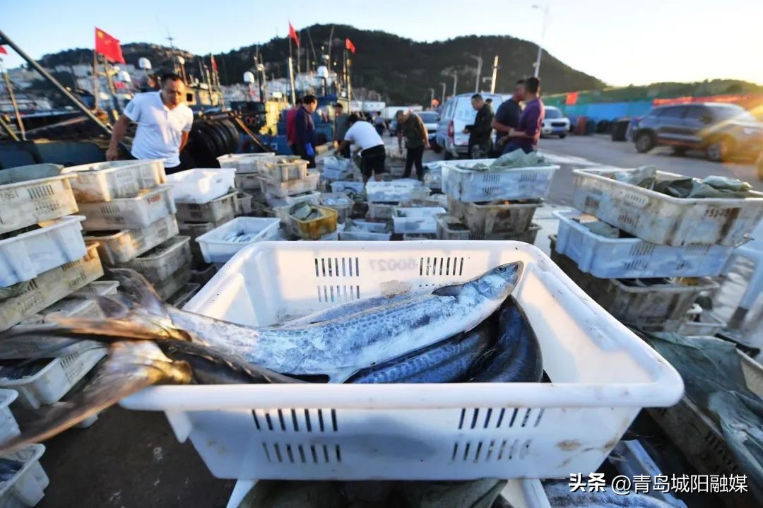 有一种“过年”叫开海