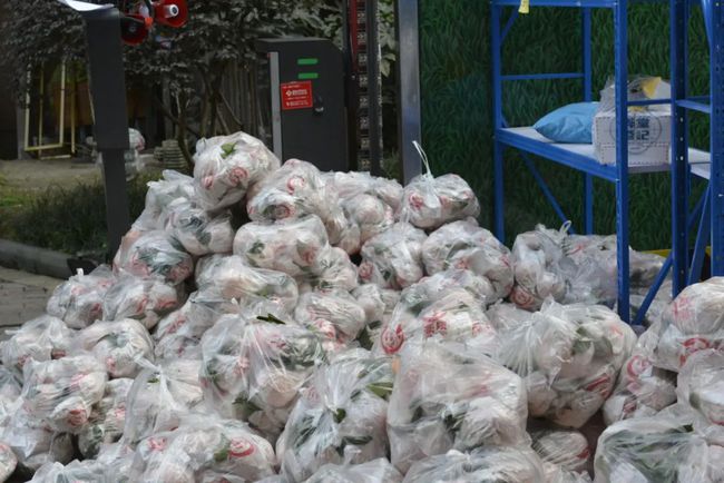 耙耙柑水果儿童,四川的耙耙柑小朋友