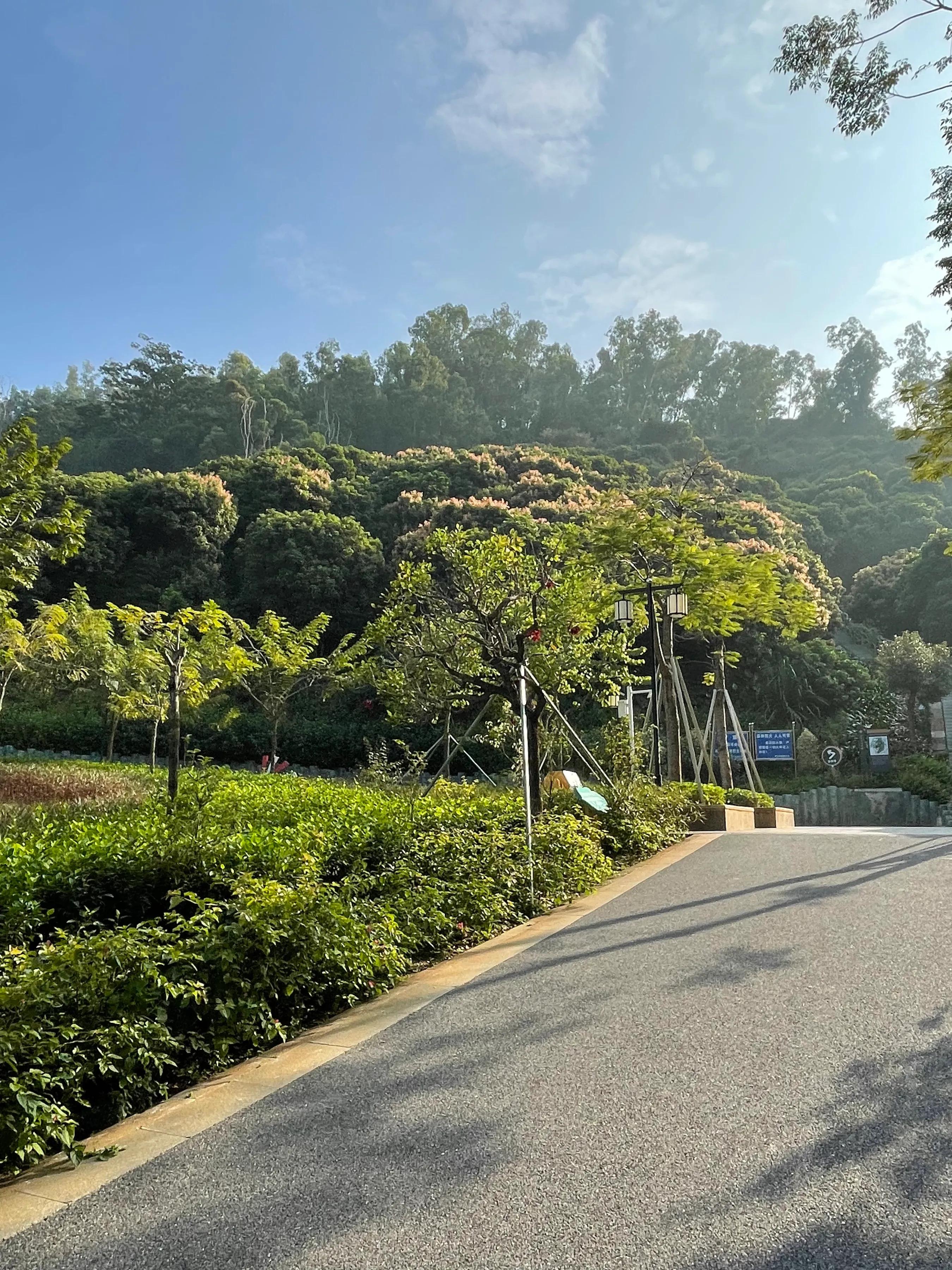 企龙山生态公园游玩攻略,龙山公园风景区