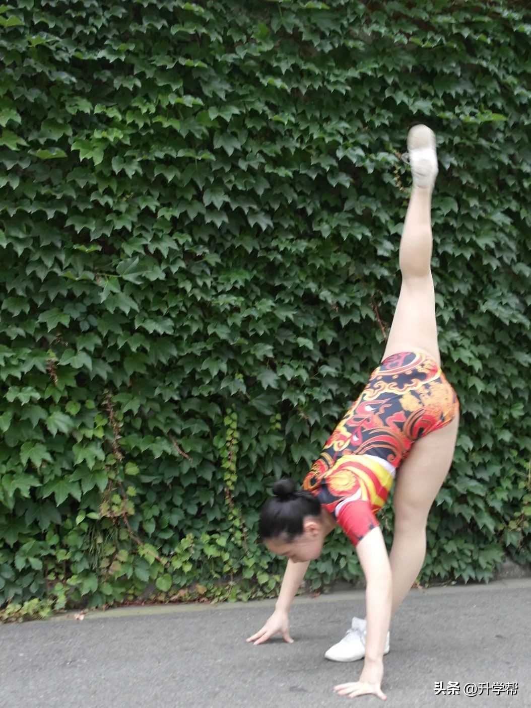 今年夏天，我们“艺”起到成都七中！