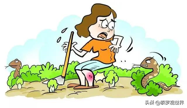 蛇为什么会把蛇打死,打蛇一定要打死不然蛇会来报复你