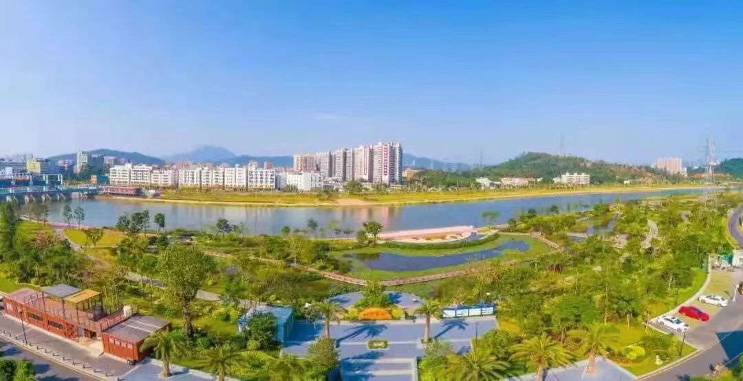 深圳最全红树林公园指南,深圳市最出名红树林湿地公园