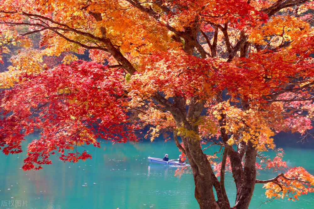 部编版九上语文目录,送东阳马生序原文