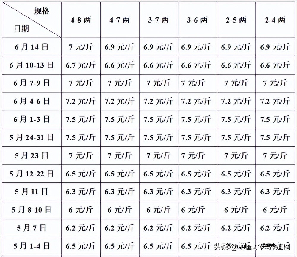 北海牛蛙被水冲走了,牛蛙被大水冲走湖南