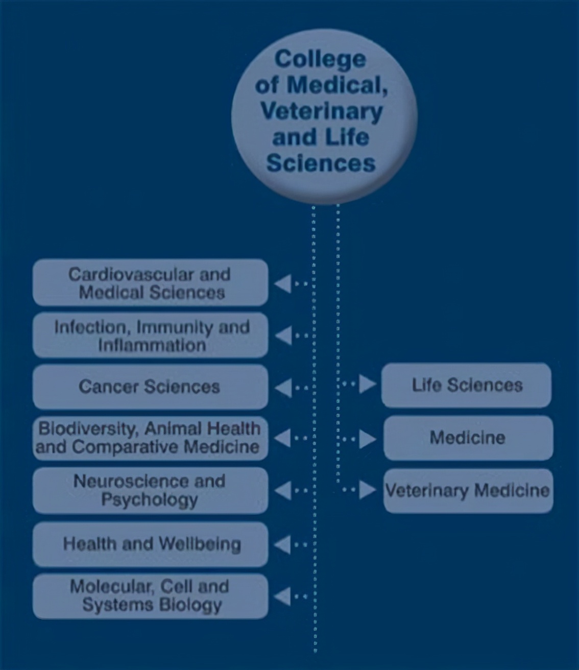 格拉斯哥大学国家排名,海外大学官网