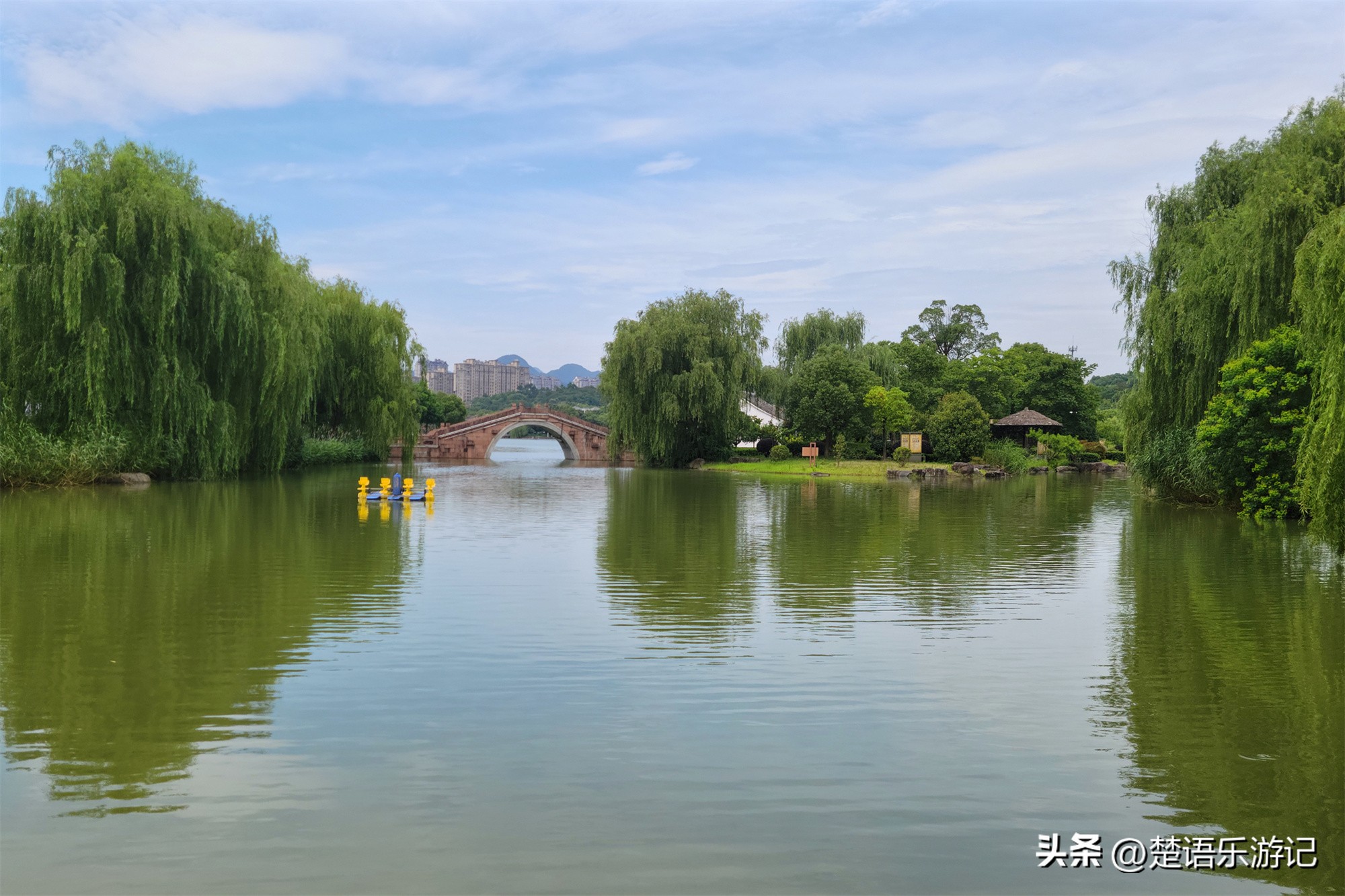 宁波附近向日葵花海在哪里,宁波向日葵花海打卡网红地