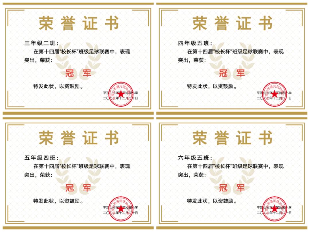 平顶山市长杯小学足球比赛,平顶山市长杯足球联赛小学决赛