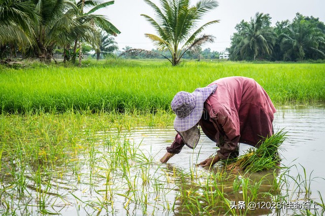 十五岁女孩报答母亲养育之恩,母亲给了你生命你要怎么样报答