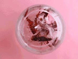 小龙虾什么部位不能吃,麻辣小龙虾头怎么吃