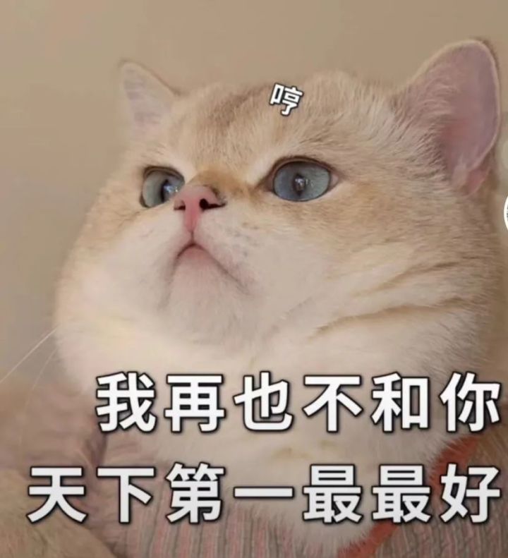 贩剑表情包评论区,贩剑表情包不回消息