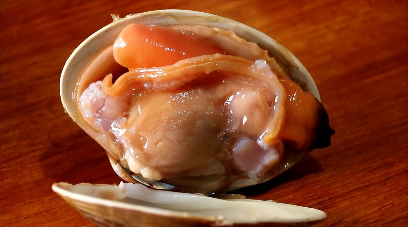 贝壳类有哪些适合儿童吃,补锌食物排行榜8强贝壳类含锌