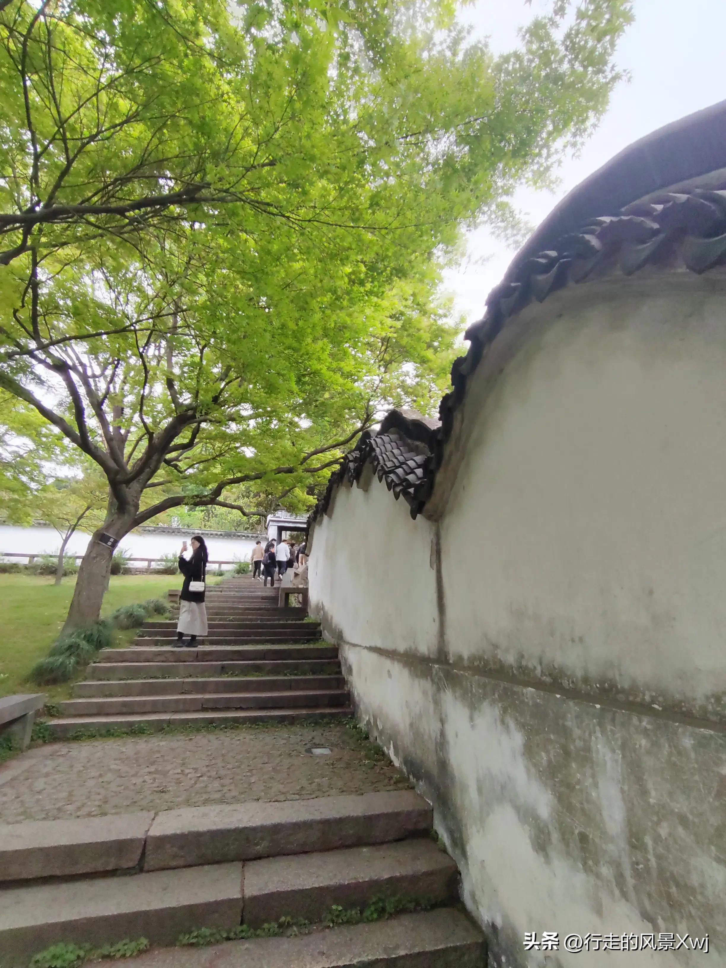 烟花三月下江南猜生肖,苏州江南农耕文化园烟花