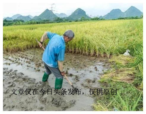 35岁要接受岁月的洗礼,35岁以后松弛