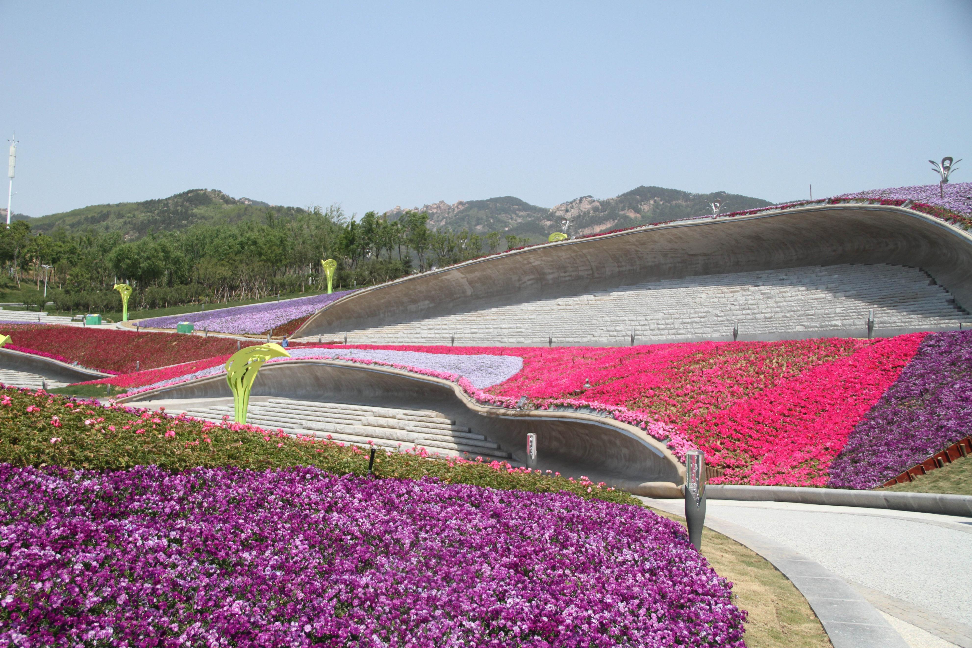 你以为的山东vs实际上的青岛,山东第一大城市是青岛还是济南