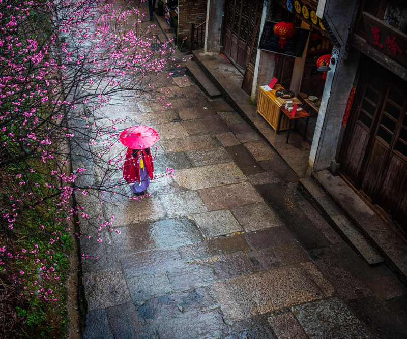 春色满园风景摄影,婺源摄影写真