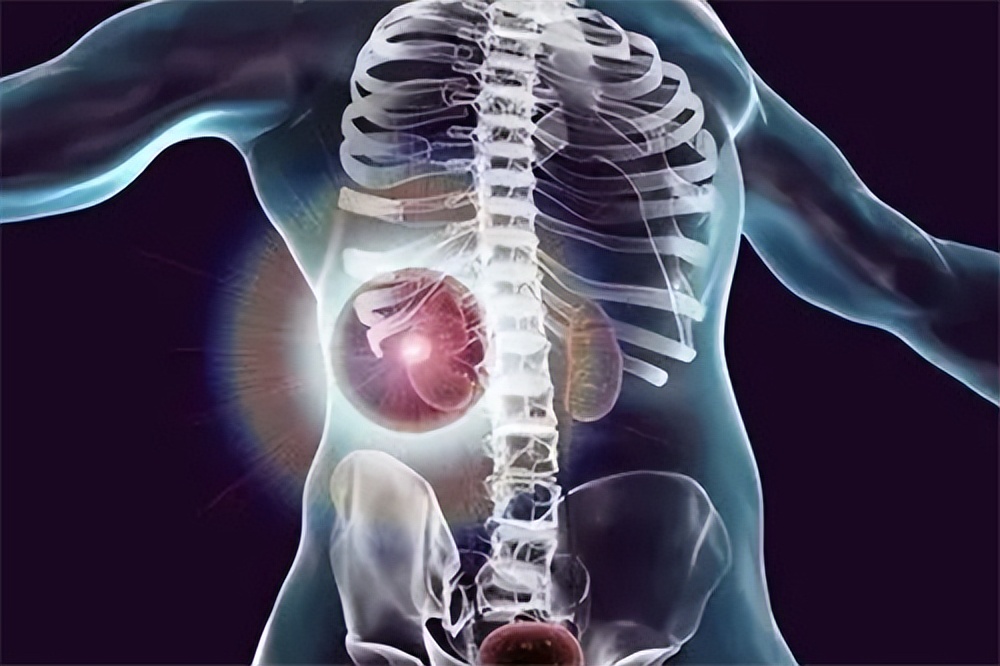 iga肾病肌酐高少吃肉能降下来吗,肌酐偏高禁吃什么食物