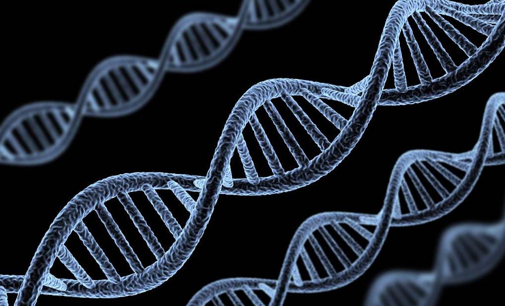 2018年神秘人购南京凶宅，牵出“鬼魂还阳”碎尸案，揭秘当年真相