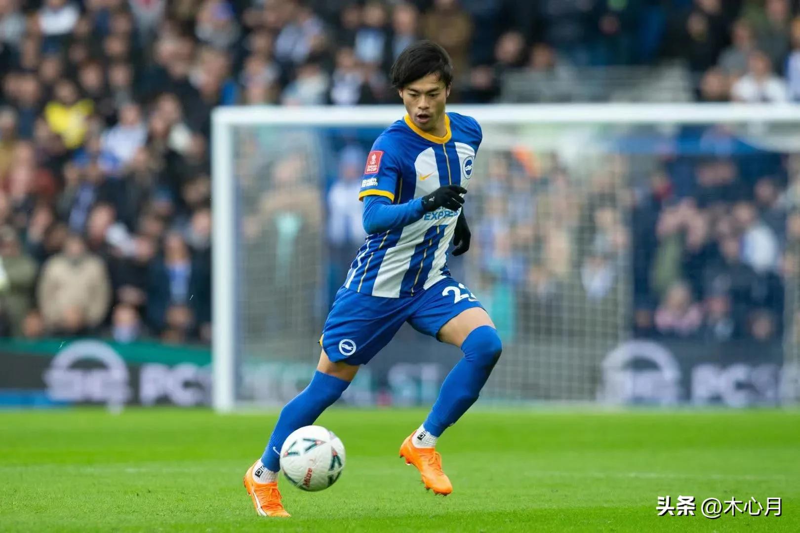 英超布莱顿战绩,布莱顿2022-2023进球集锦