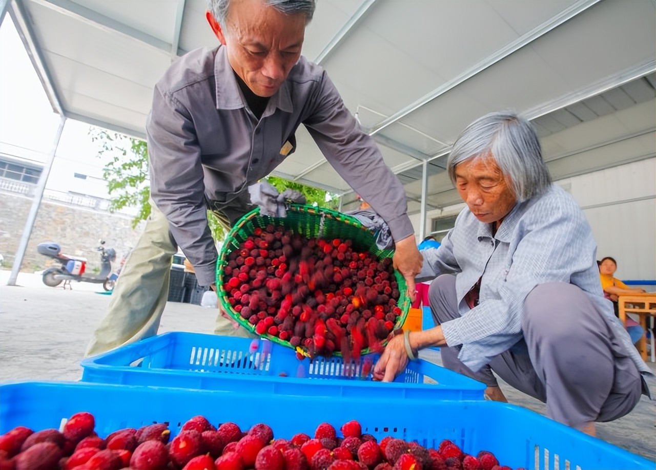 助力乡村文化振兴绘画采风活动,助力乡村振兴书画家