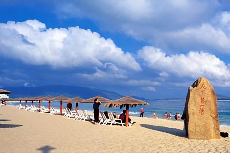 安澜从沉睡中苏醒,安澜无法挣脱的命运