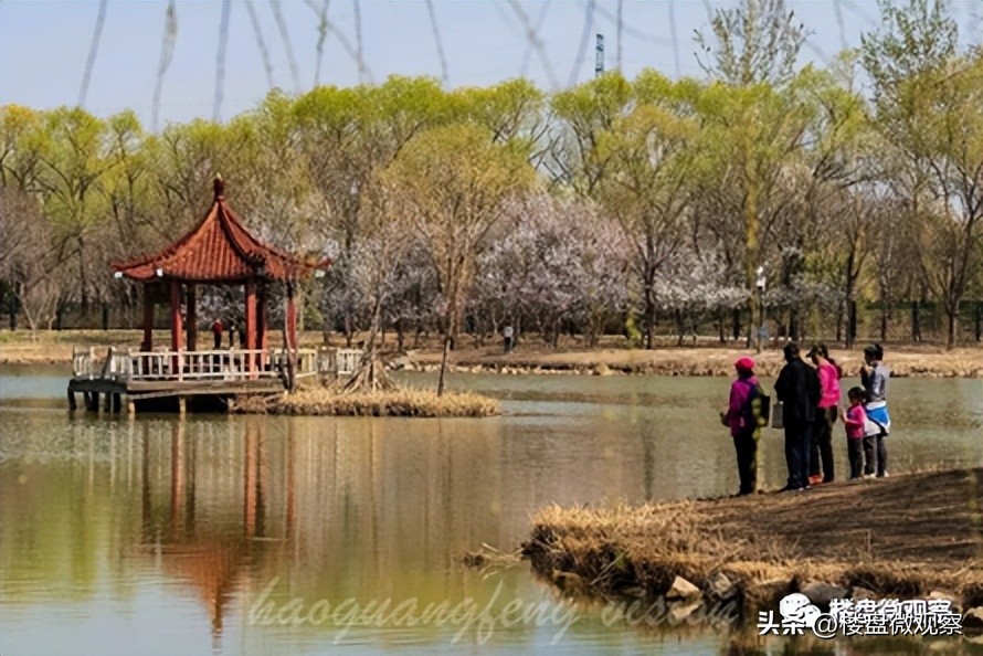 东坝区位优势图,东坝区域图