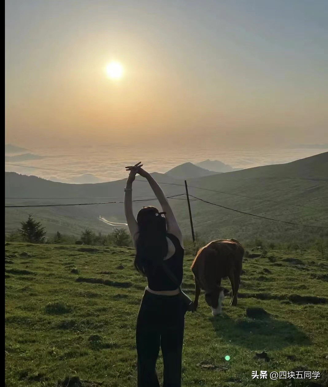 橙光温柔瘾文案,橙光clarity语录