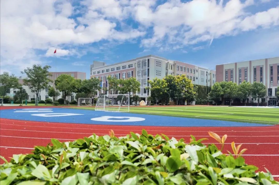 上海七宝德怀特学校怎么样,上海七宝德怀特录取分数线