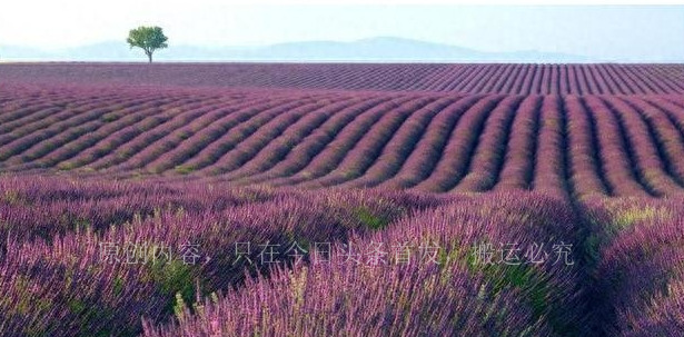 婚外情男人越来越冷淡的原因,婚外情男人见面后冷淡是怎么了