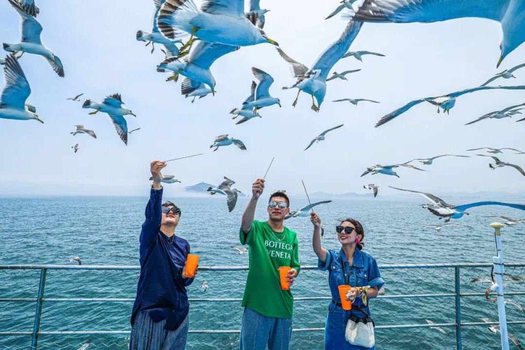 房车自驾威海荣成,房车旅行日记荣成