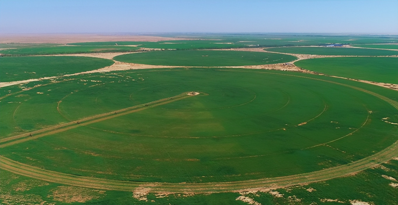 蒙牛乳业核心价值分析,蒙牛各个方面的数据分析