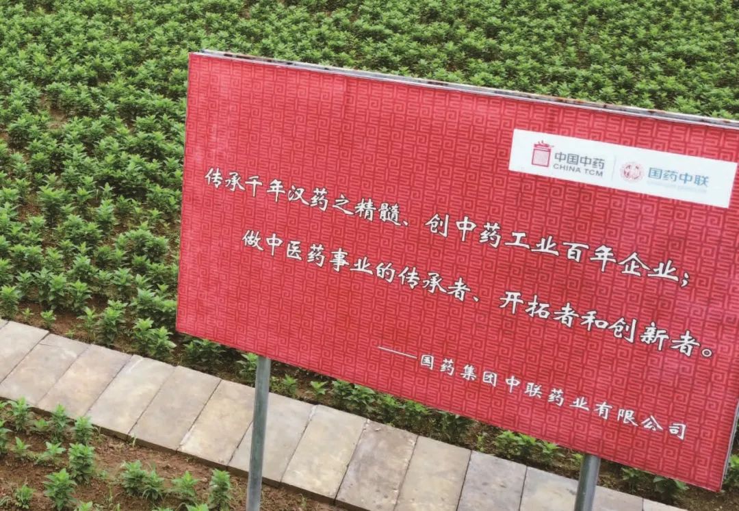 文化传承老字号,文化创新中药