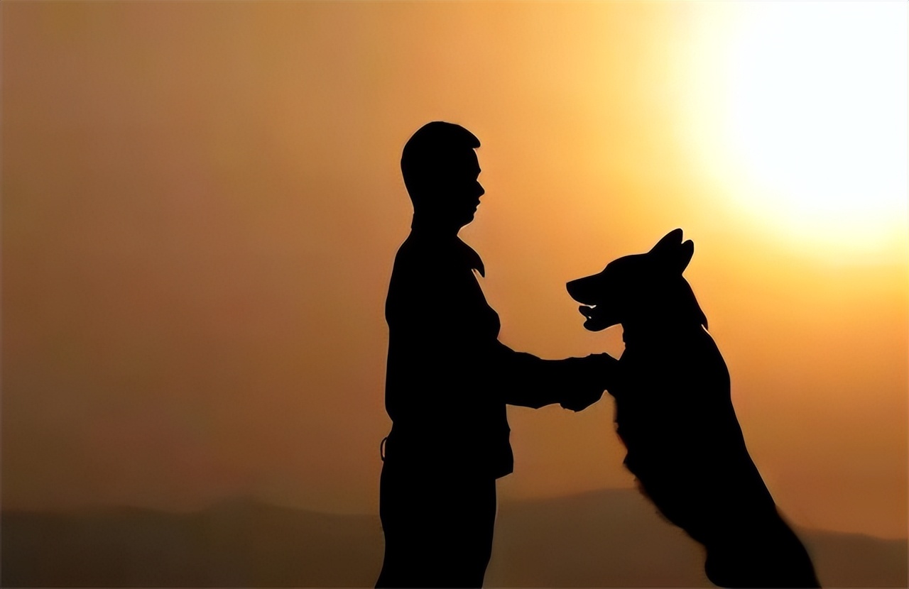 汶川地震搜救战士,汶川地震连续搜救十天十夜