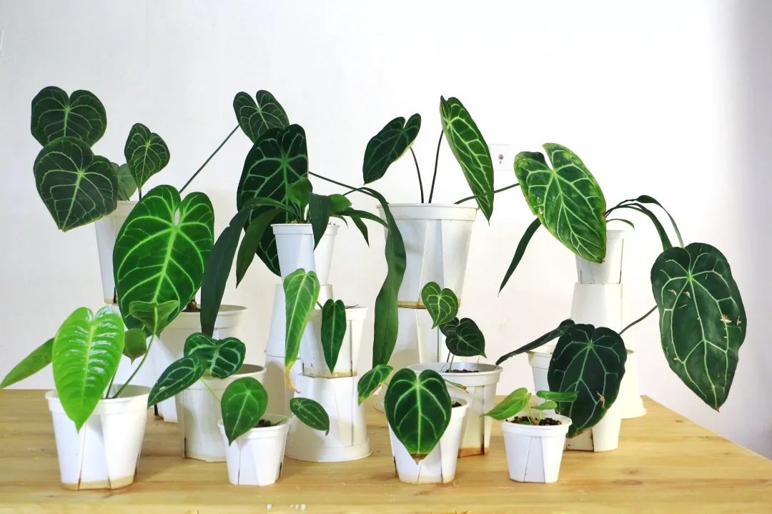 90后郑州房子装修,郑州没钱装修直接入住