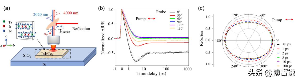 碲离子和氢氧化钠反应,碲离子