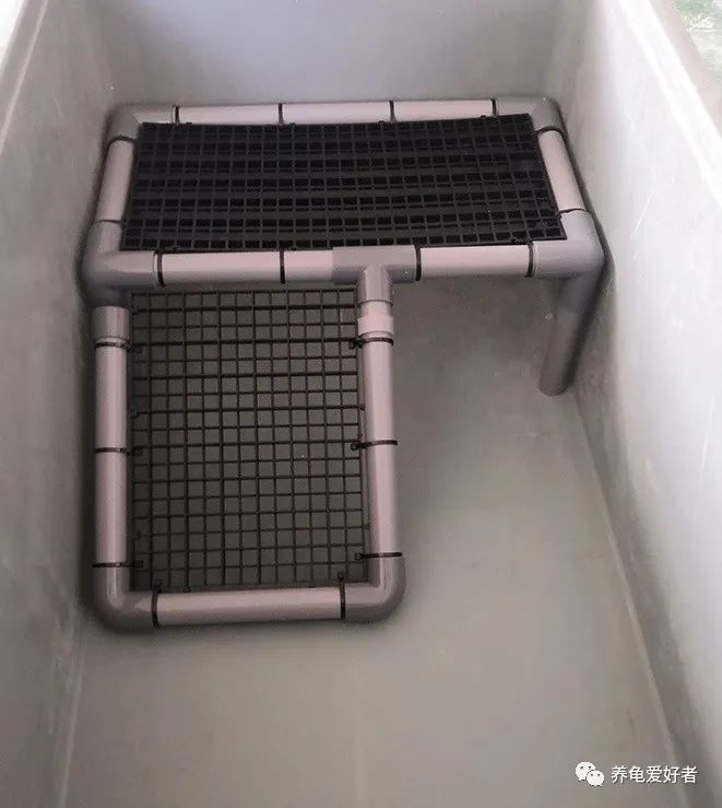 养龟必须要有晒台吗,养龟的晒台最好用什么