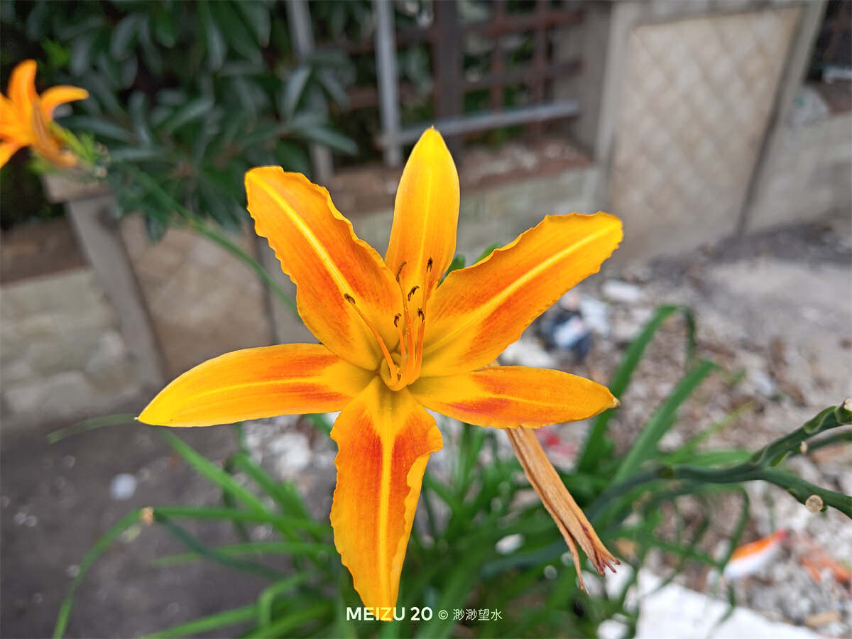 魅族20独白测评体验，来自魅友的10问，到底值不值得入手？