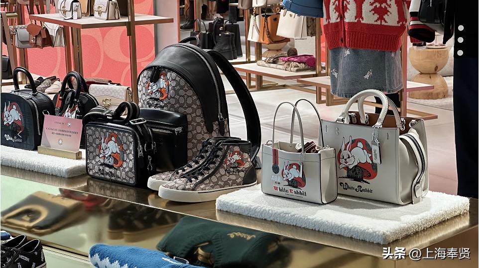 出圈了！这只上海人最熟悉的兔子，正从奉贤跳向世界！丨新春走基层